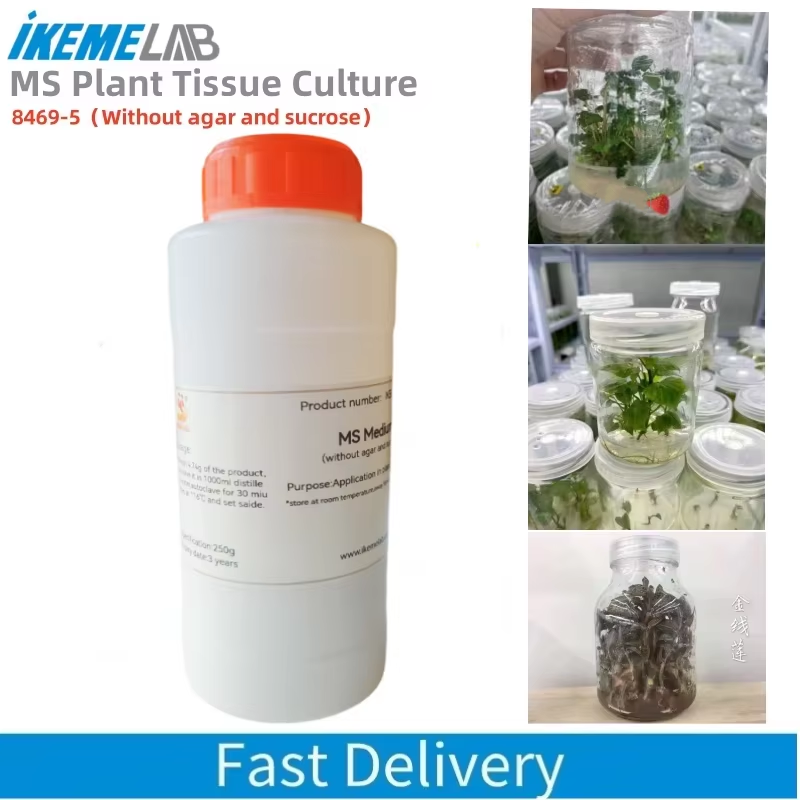 Agar Tissue Culture - IKEME 250g Lab MS Medium bez
