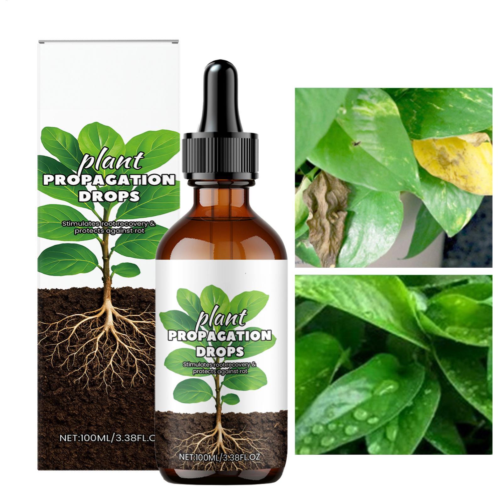 Root Stimulator Liquid - Root Booster 100ml Płynny stymulator korzeni