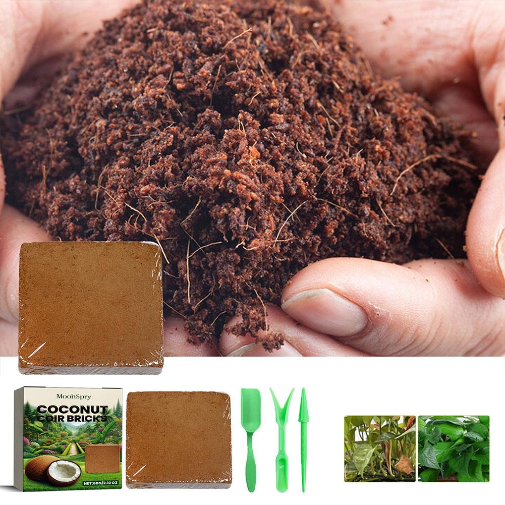 Sphagnum Moss Dry - Cegła z włókna kokosowego - organiczny