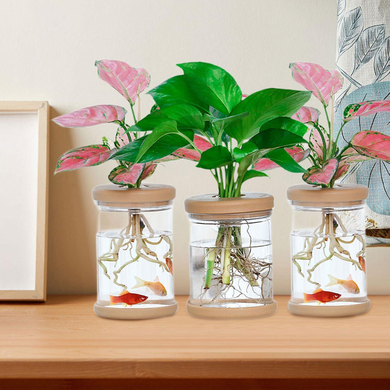 Propagation Station Vase - 3 szt. Wazony hydroponiczne, dekoracyjne wazony