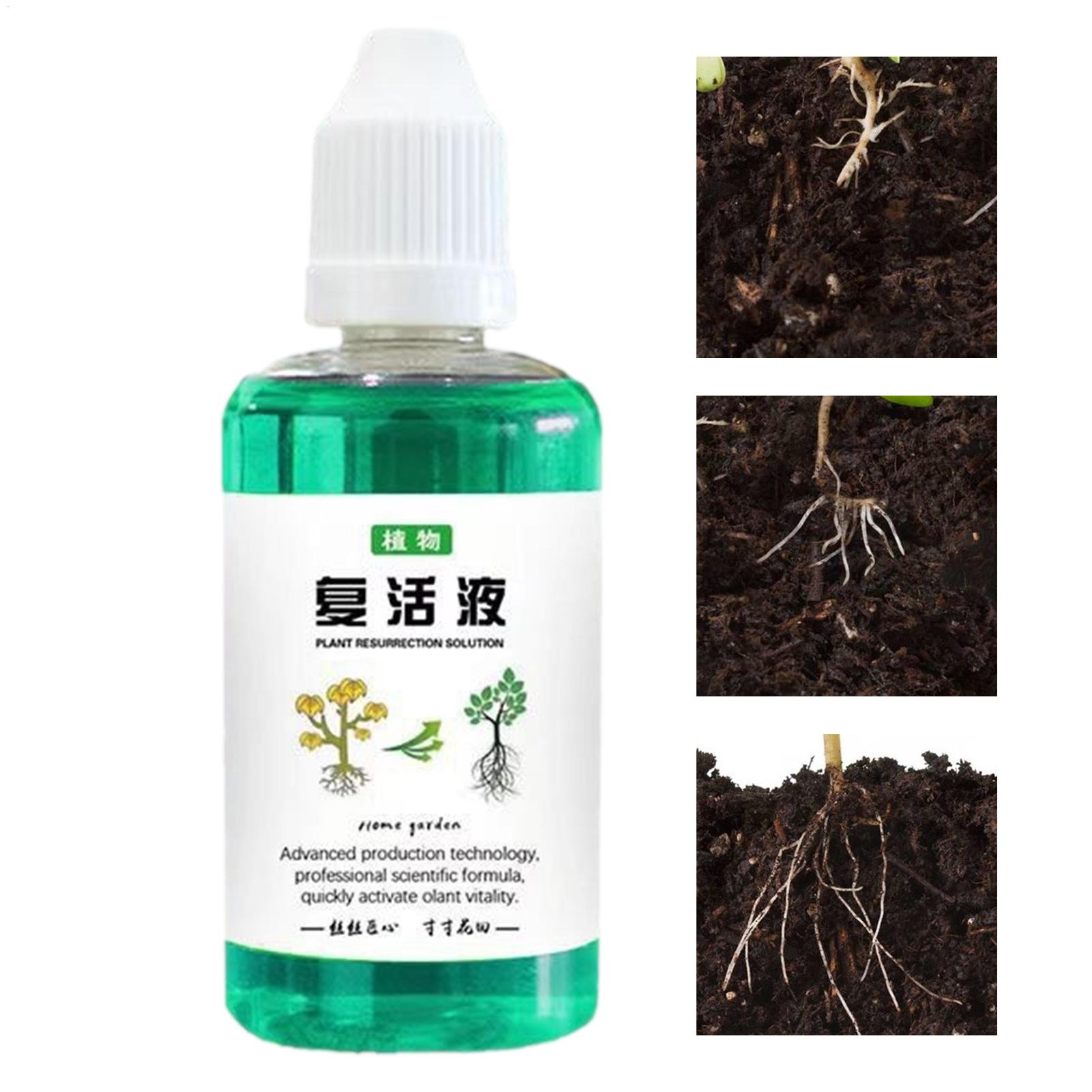 Root Stimulator Liquid - Stymulator rozwoju korzeni dla roślin 50ml,
