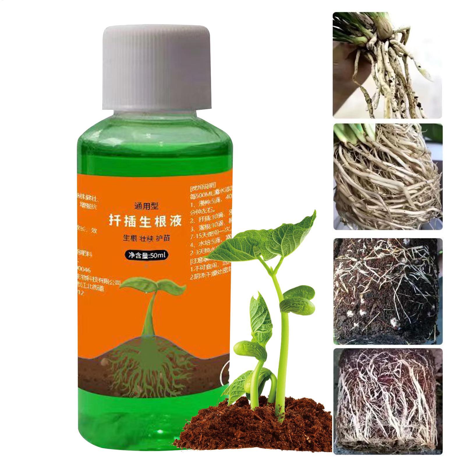 Root Stimulator Liquid - Wysoko skuteczny stymulator korzeniowy do sadzonek,