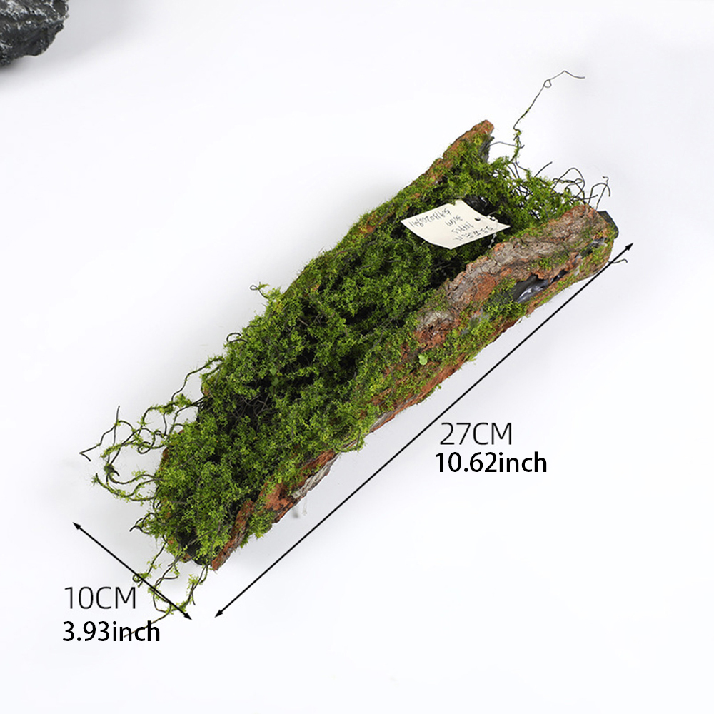 1 imitacja mchu kory sadzenie  – Sphagnum Moss Dry recenzja i cena