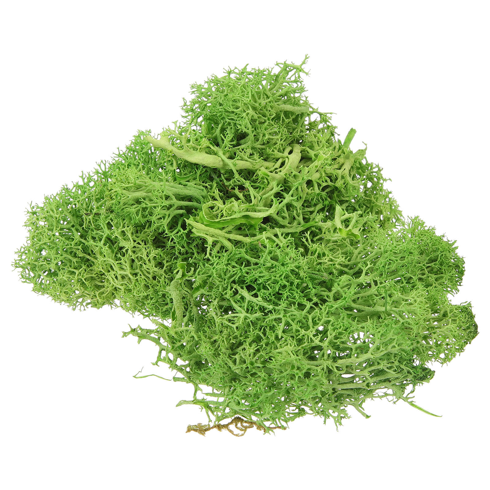 Brązowy mech sphagnum, sztuczn – Sphagnum Moss Dry recenzja i cena