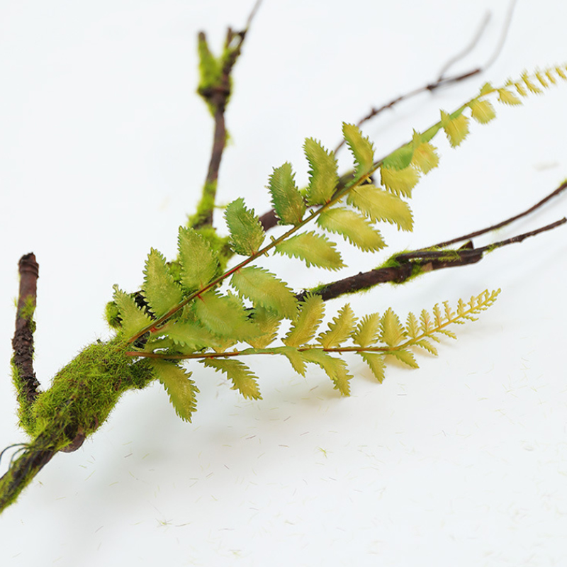 Sztuczne rośliny bluszcz ze sz – Sphagnum Moss Dry recenzja i cena
