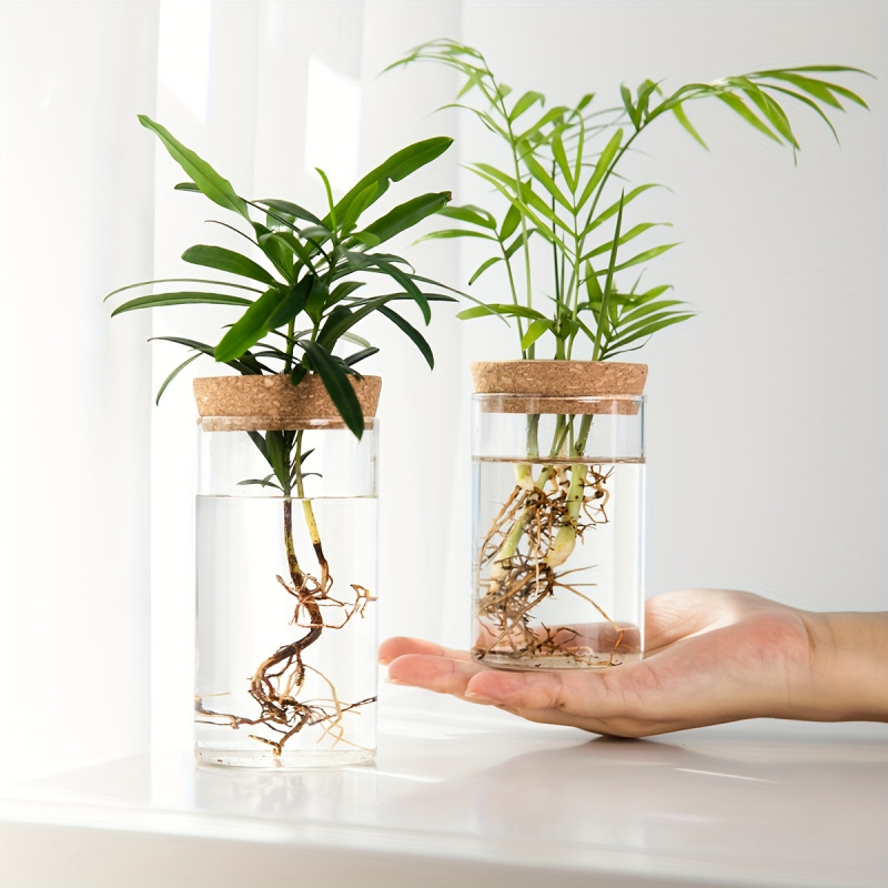 1szt, hydroponika rośliny pulp – Propagation Station Vase recenzja i cena