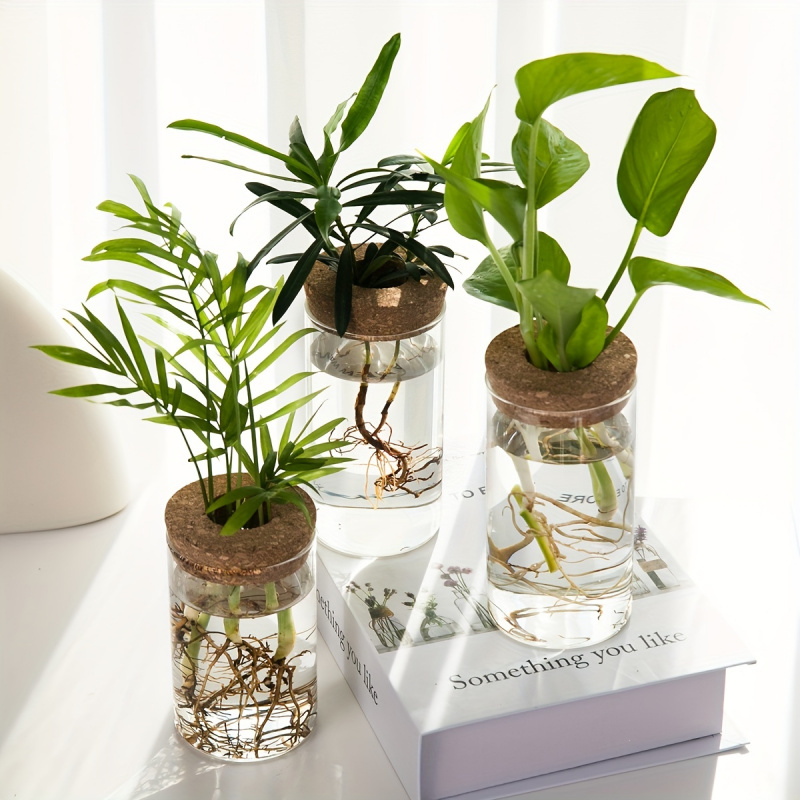1szt, hydroponika rośliny pulp – Propagation Station Vase recenzja i cena