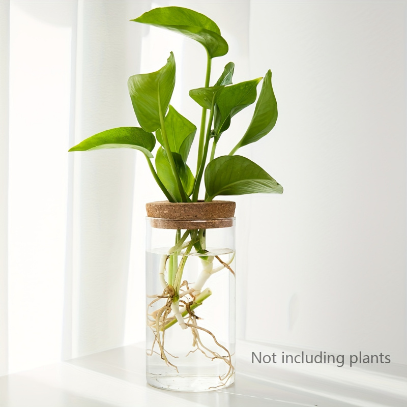 1szt, hydroponika rośliny pulp – Propagation Station Vase recenzja i cena