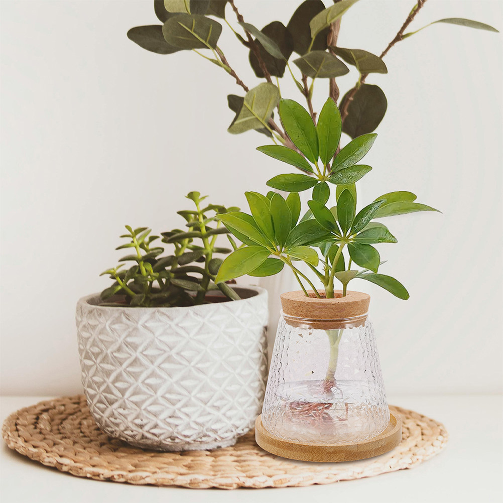 2 szt. Szklany wazon hydroponi – Propagation Station Vase recenzja i cena