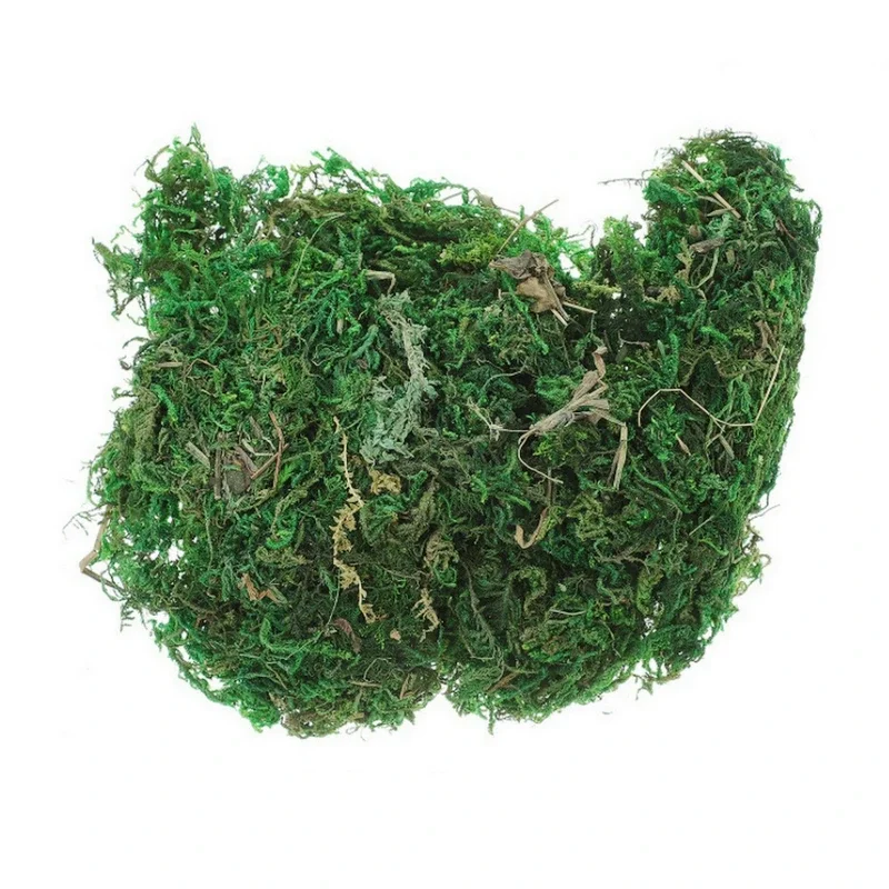 800G suchy prawdziwy zielony m – Sphagnum Moss Dry recenzja i cena