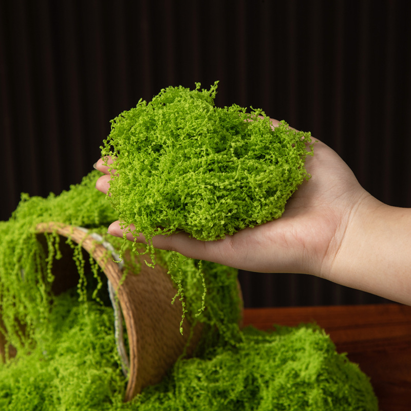200g Mech Wiecznego Życia DIY  – Sphagnum Moss Dry recenzja i cena