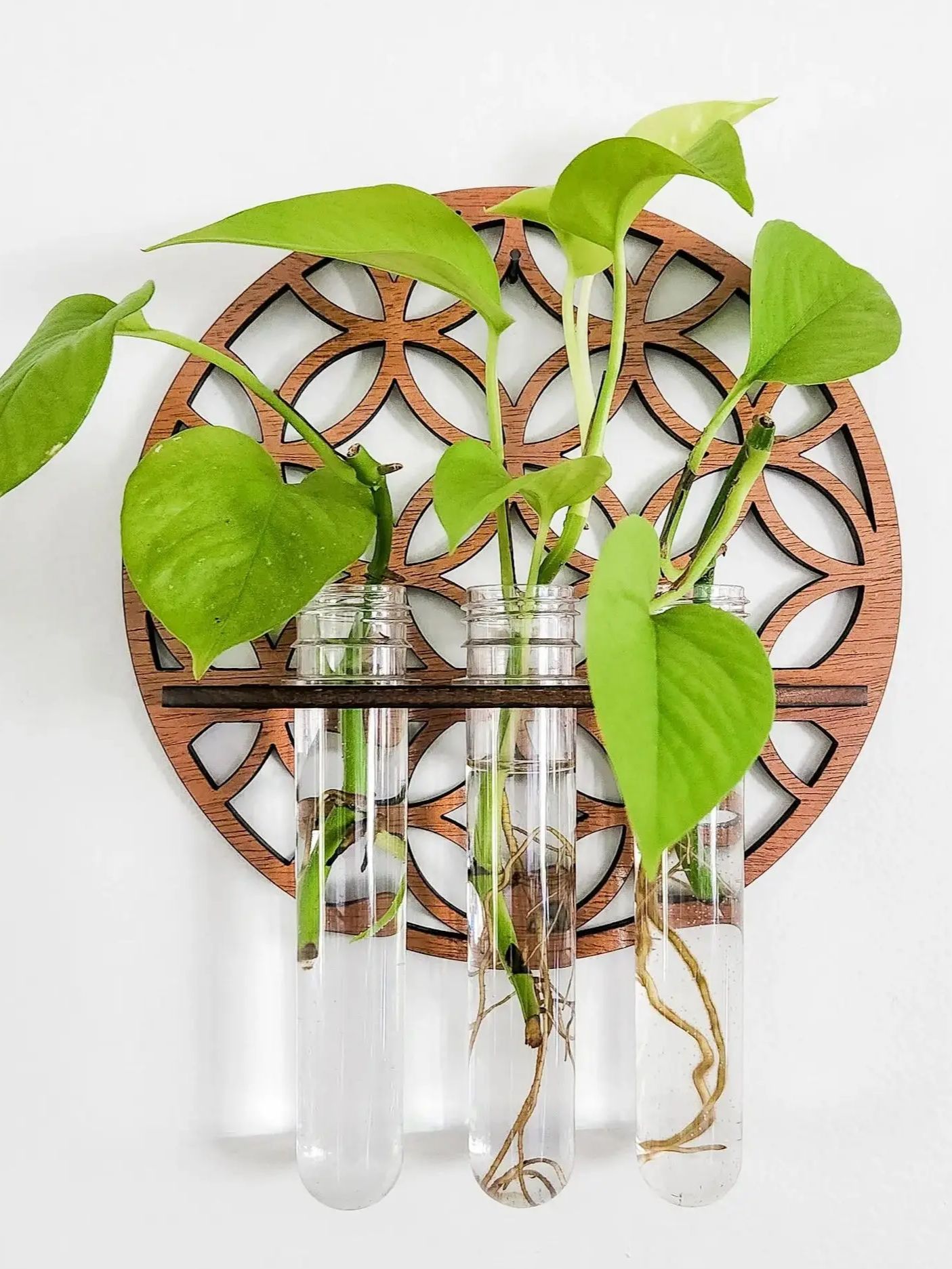 Ogrodowe donice ścienne Wewnęt – Propagation Station Vase recenzja i cena