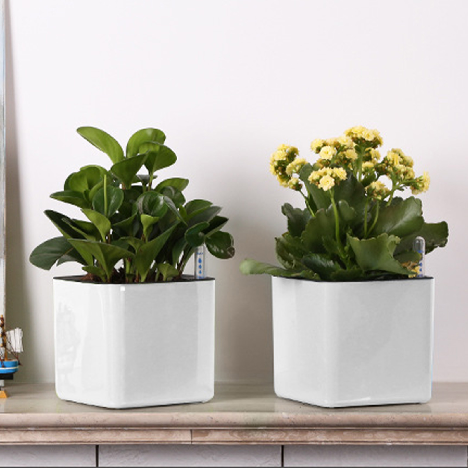 3 rozmiary leniwych doniczek d – Self Watering Insert recenzja i cena