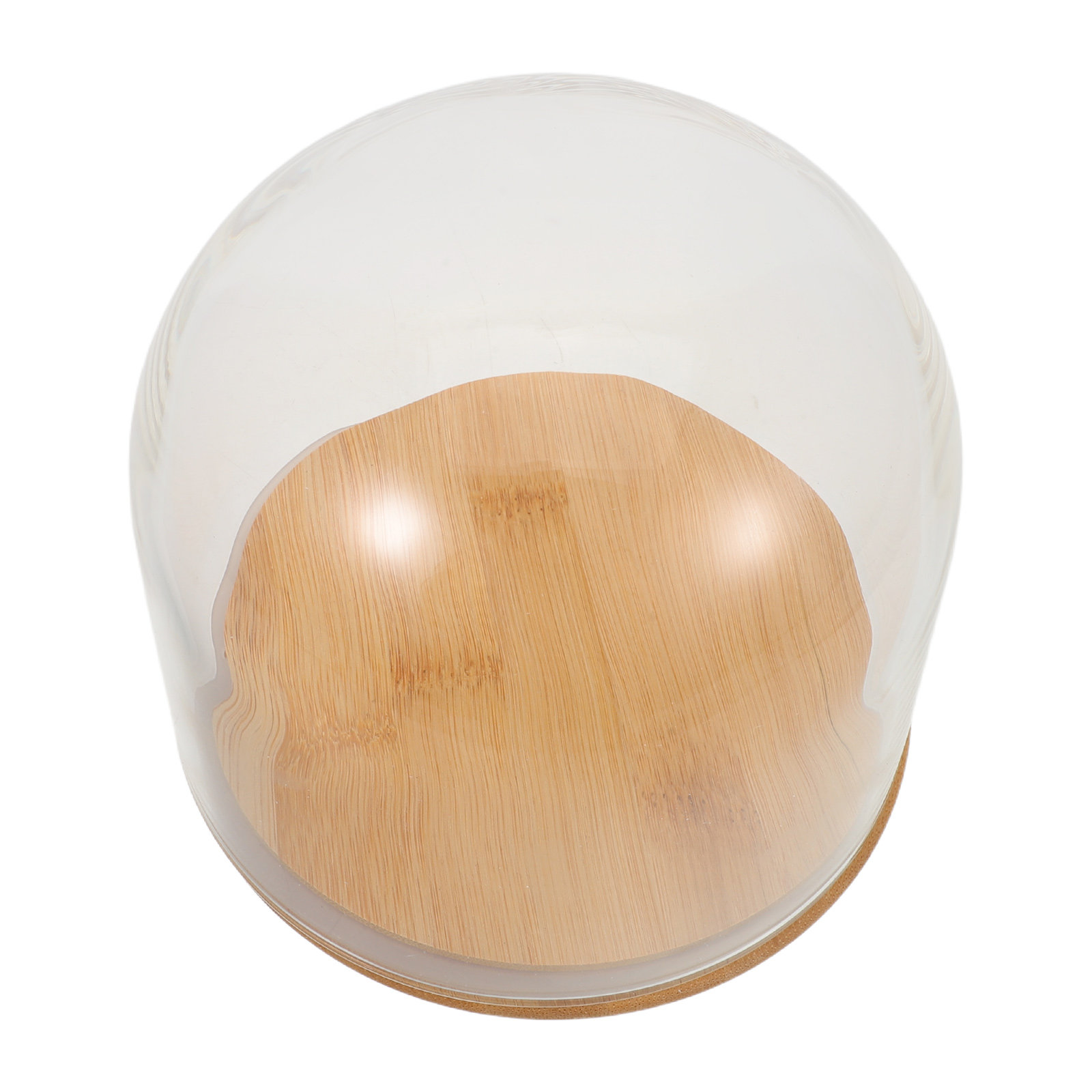 Przezroczysta szklana kopuła z – Plastic Dome Clear recenzja i cena