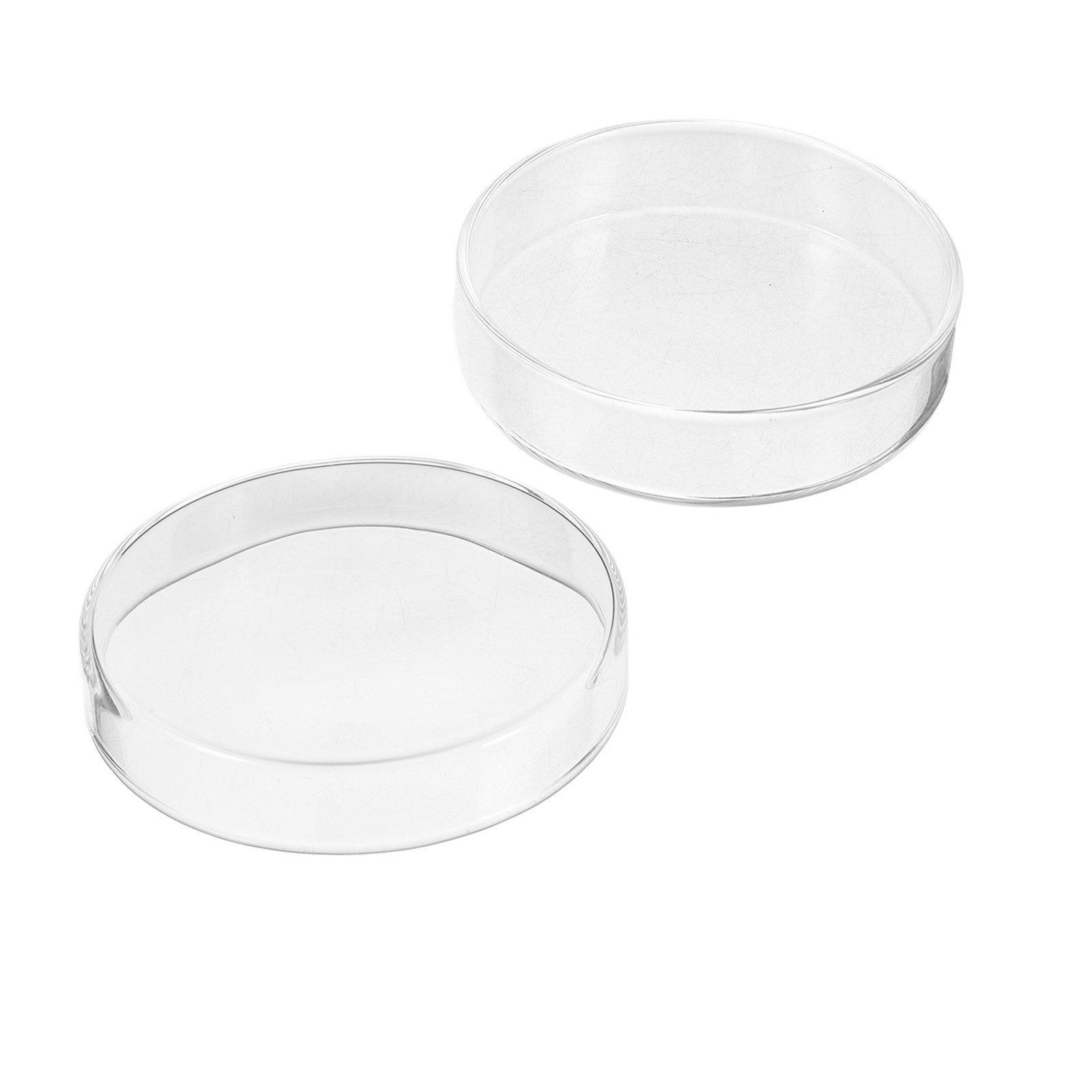 1 Zestaw Grubych Szklanych Sza – Agar Tissue Culture recenzja i cena