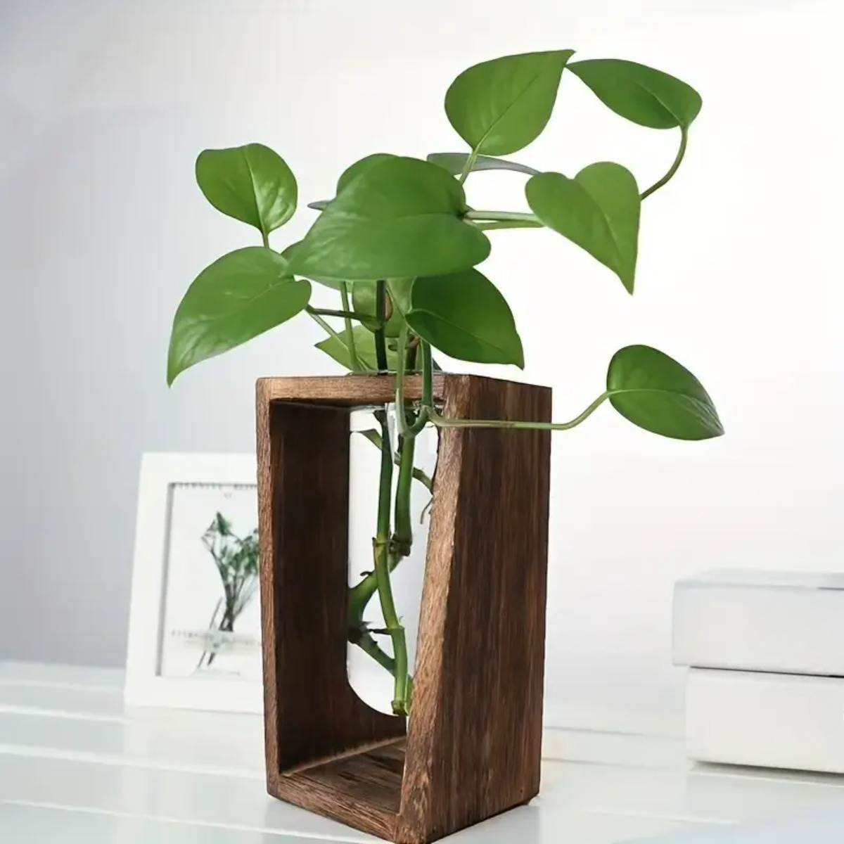 Stacja do rozmnażania roślin,  – Propagation Station Vase recenzja i cena