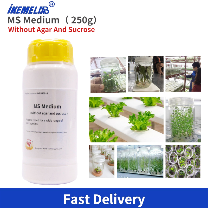 IKEME Lab MS Medium 250g Bez A – Agar Tissue Culture recenzja i cena