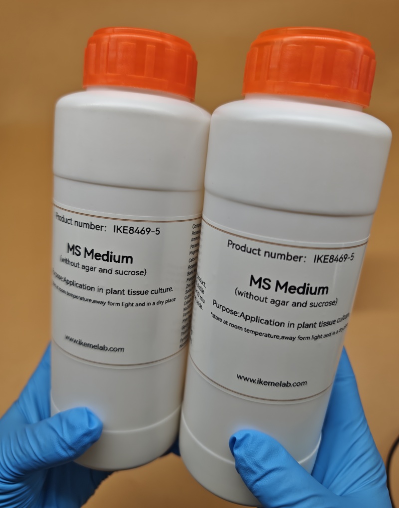 IKEME Lab MS Medium 250g Bez A – Agar Tissue Culture recenzja i cena
