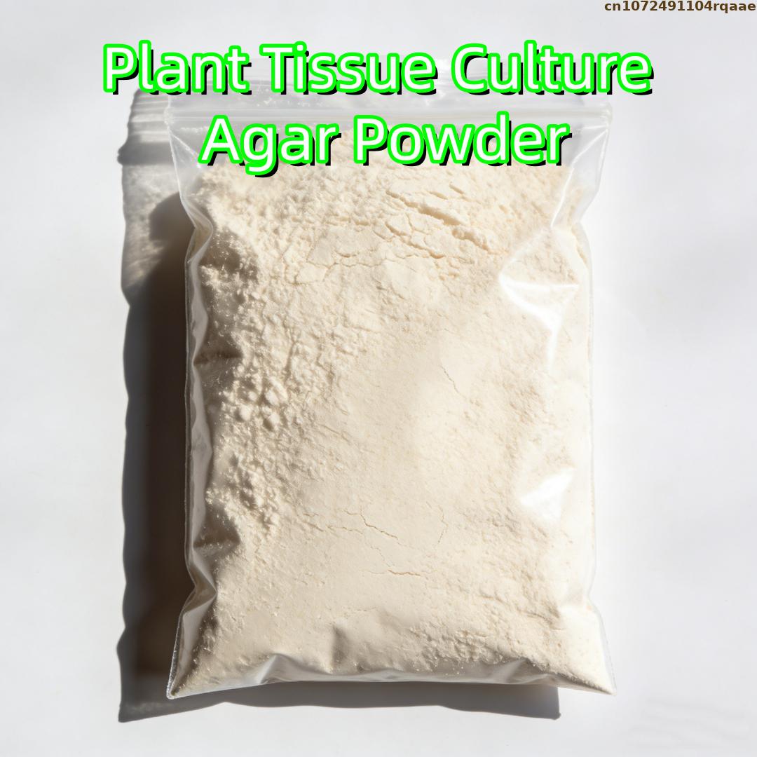 Wysokiej jakości agar w proszk – Agar Tissue Culture recenzja i cena