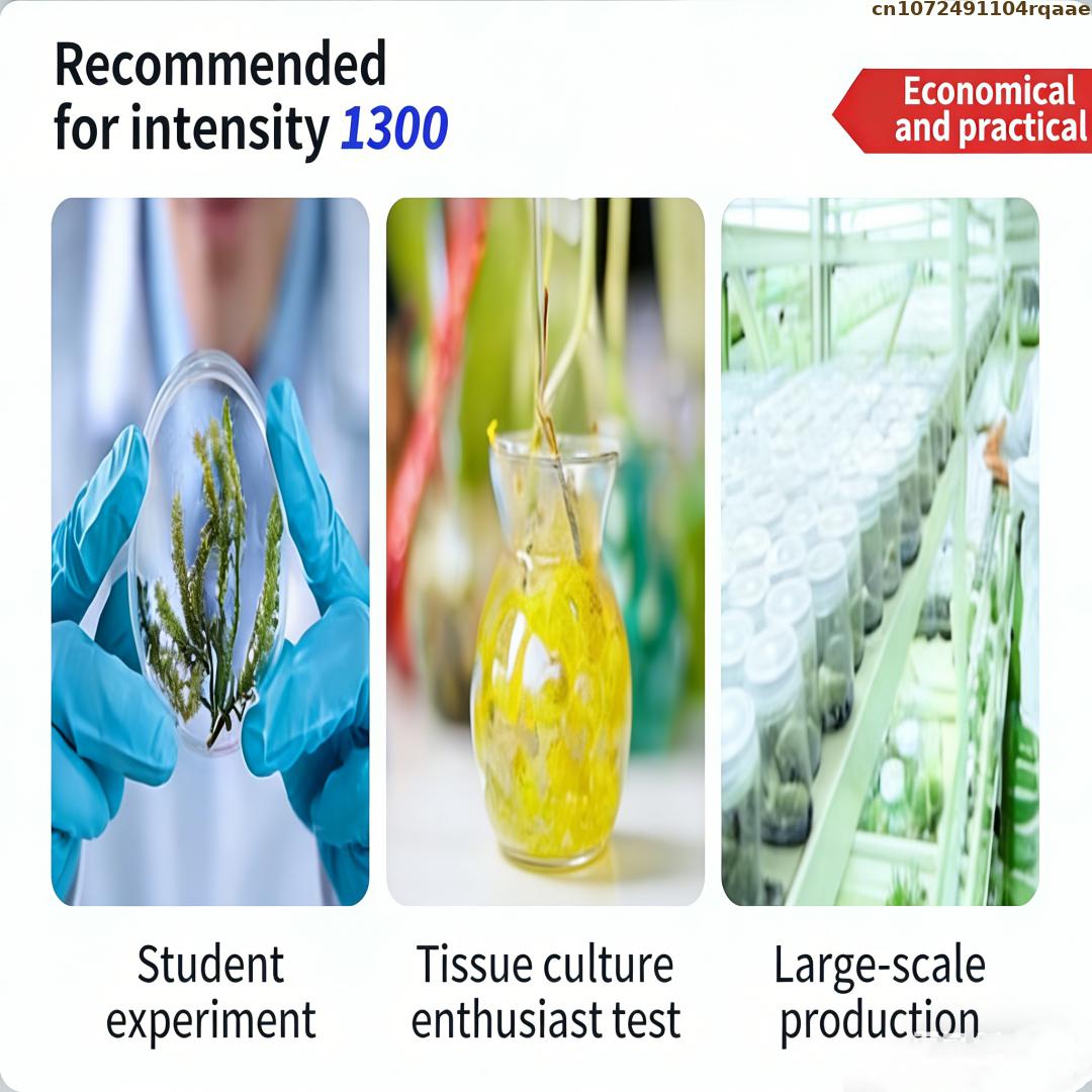 Wysokiej jakości agar w proszk – Agar Tissue Culture recenzja i cena