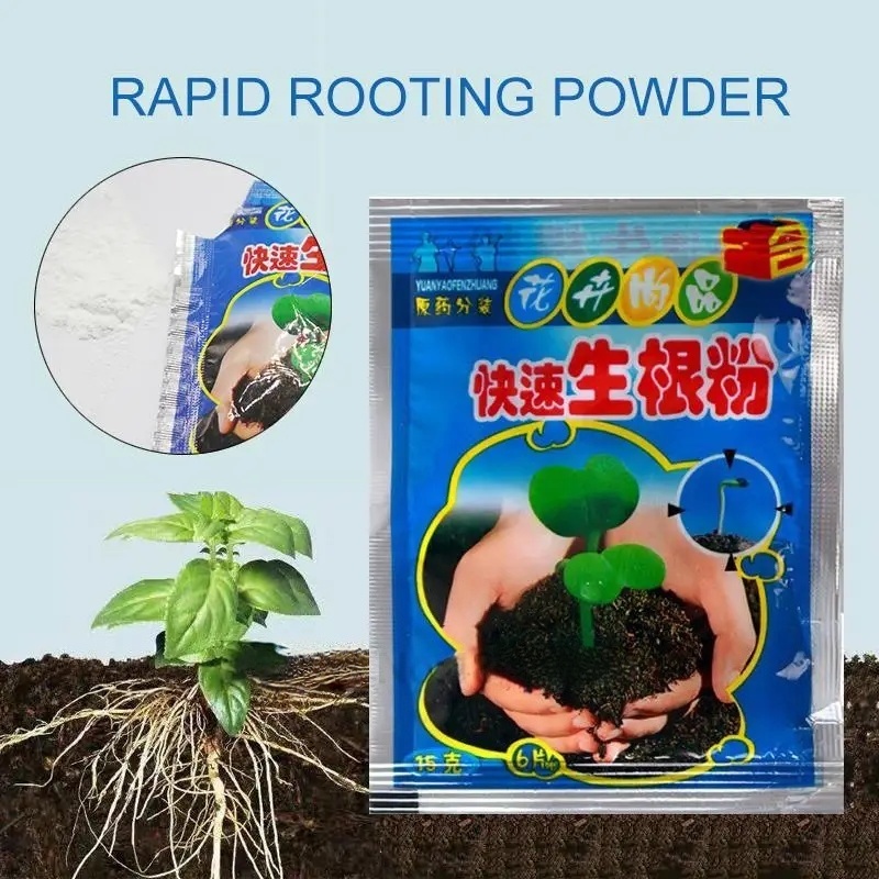 5 szt. Szybki Proszek do Korio – Rooting Hormone Powder recenzja i cena