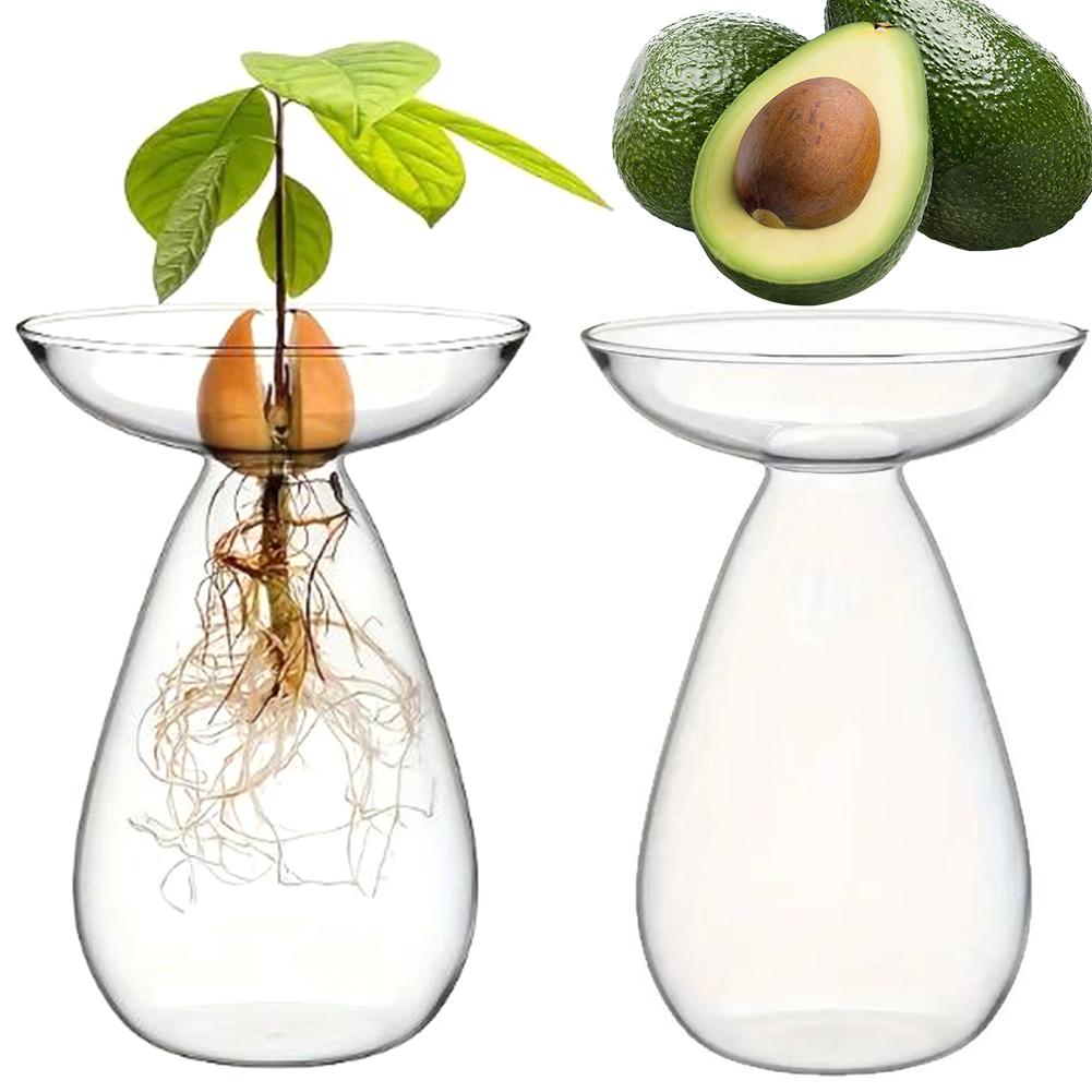 Wazon hydroponiczny do rozsady – Propagation Station Vase recenzja i cena