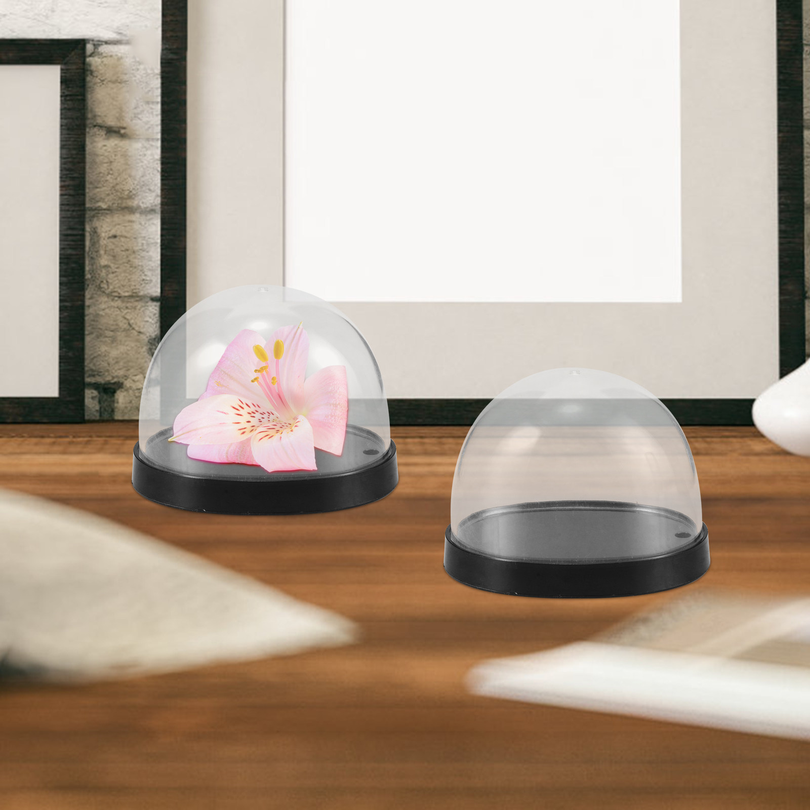 5 Zestawów Przezroczystych Pla – Plastic Dome Clear recenzja i cena