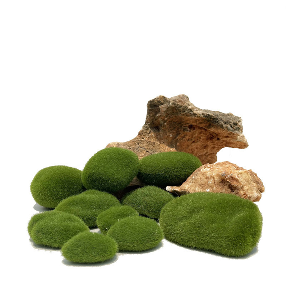 Sztuczny sztuczny mech Rock Et – Sphagnum Moss Dry recenzja i cena
