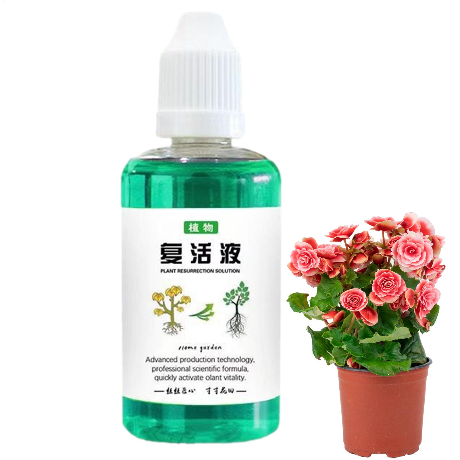 Stymulator rozwoju korzeni dla – Root Stimulator Liquid recenzja i cena