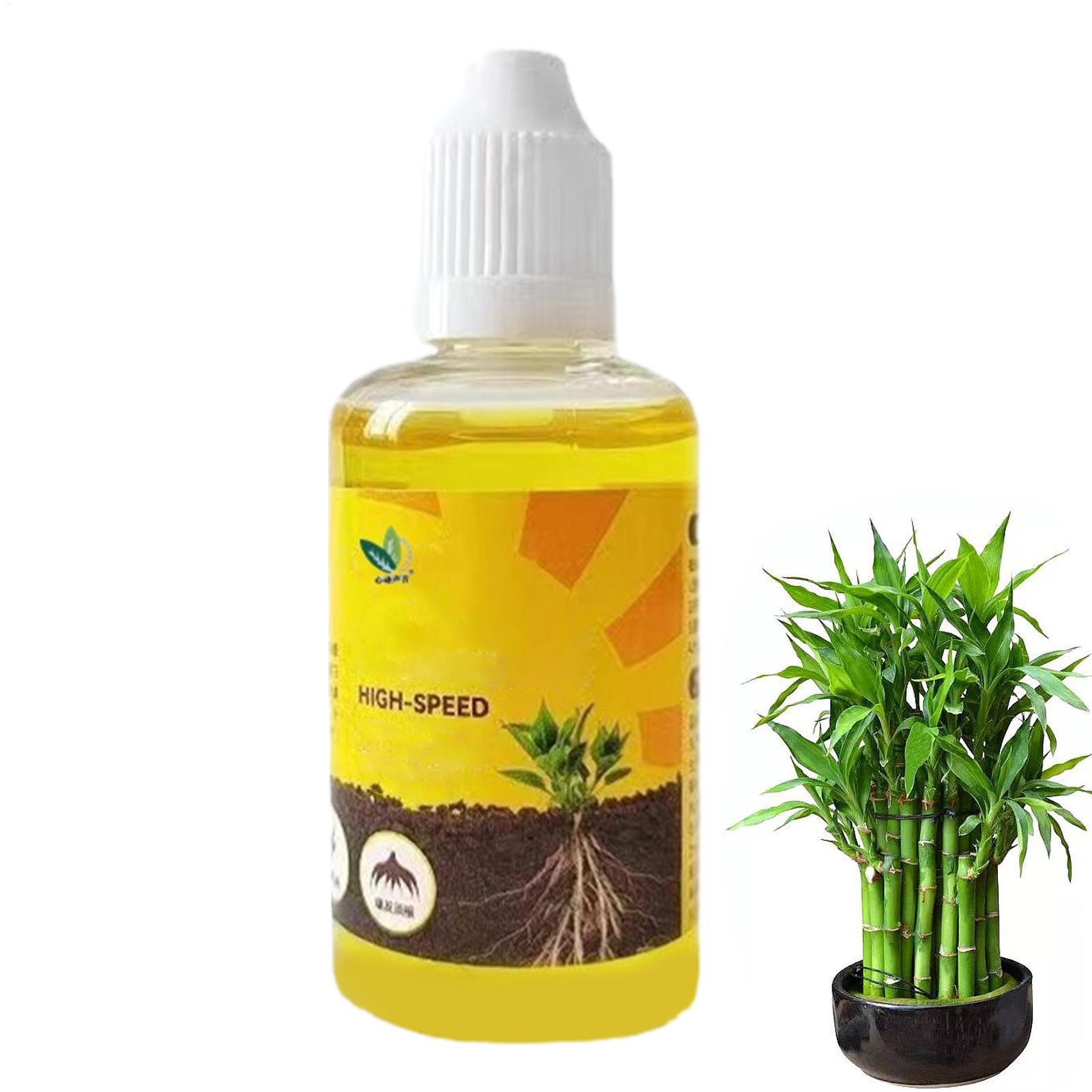 50ml Płynny Stymulator Zacinan – Rooting Hormone Powder recenzja i cena