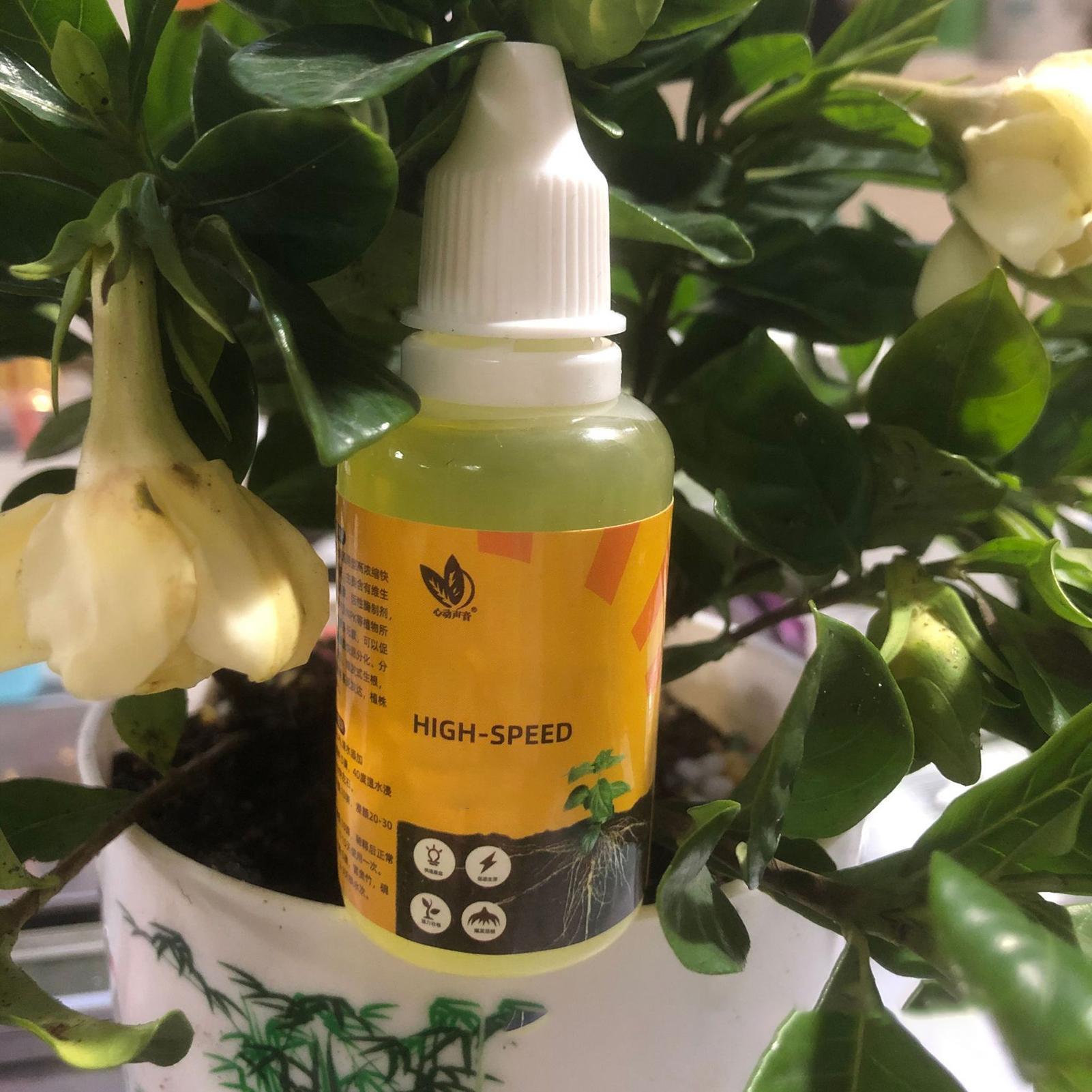 50ml Płynny stymulator ukorzen – Root Stimulator Liquid recenzja i cena