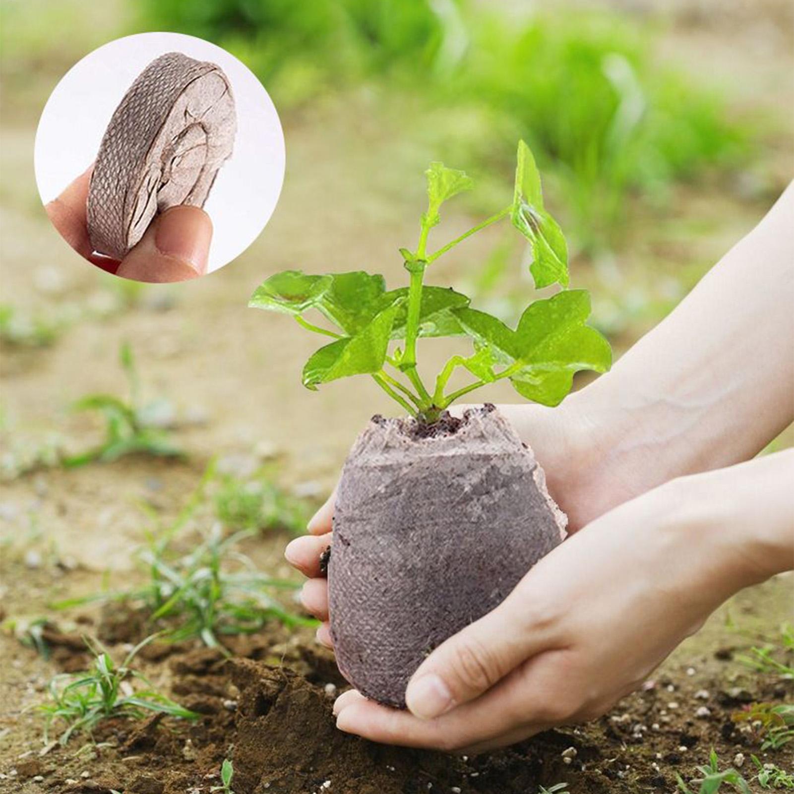 100 Sztuk Tacek z Mieszanką do – Peat Pellet Tray recenzja i cena