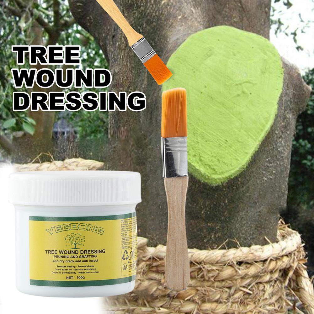100g Pasta do szczepienia drze – Rooting Hormone Powder recenzja i cena
