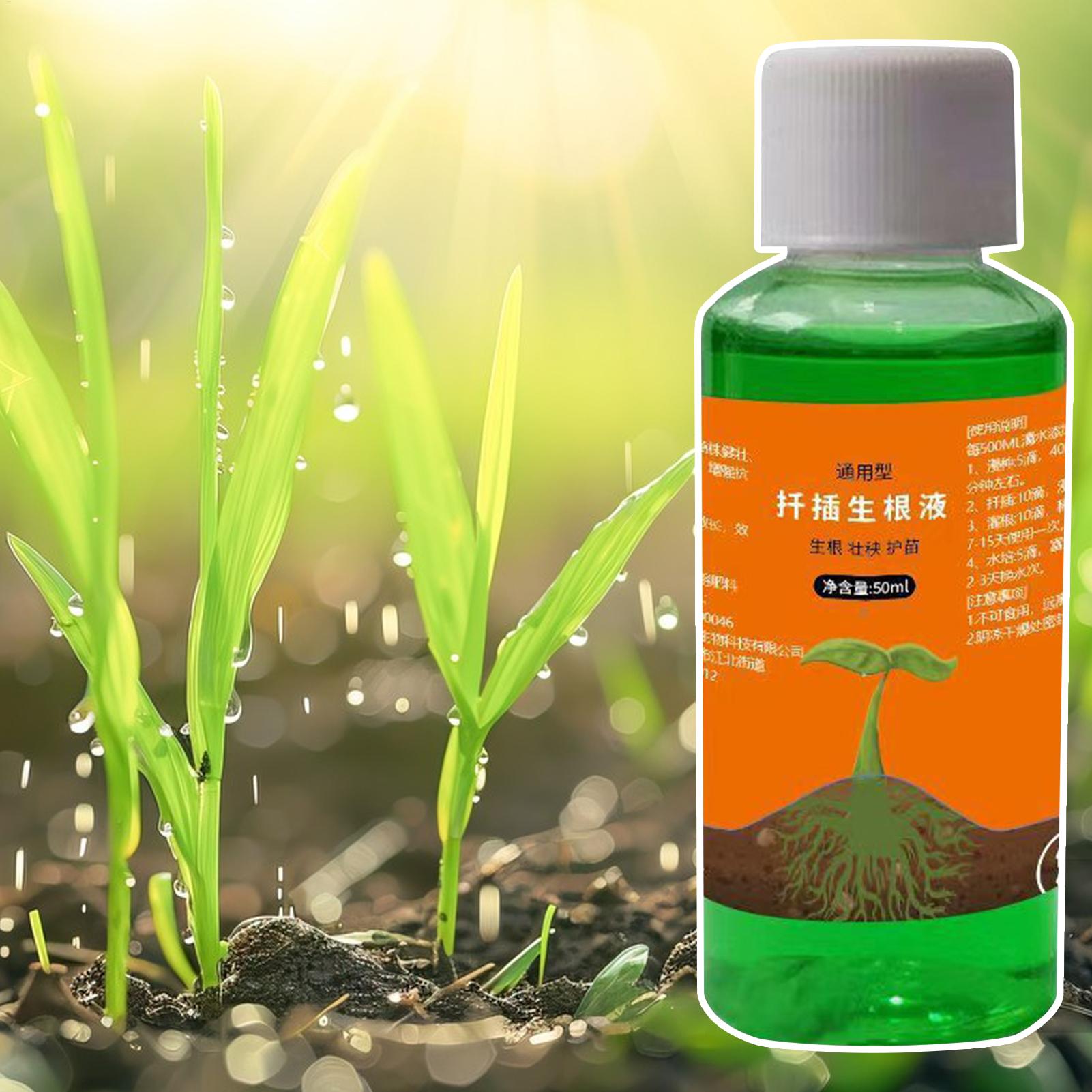 Wysoko skuteczny stymulator ko – Root Stimulator Liquid recenzja i cena