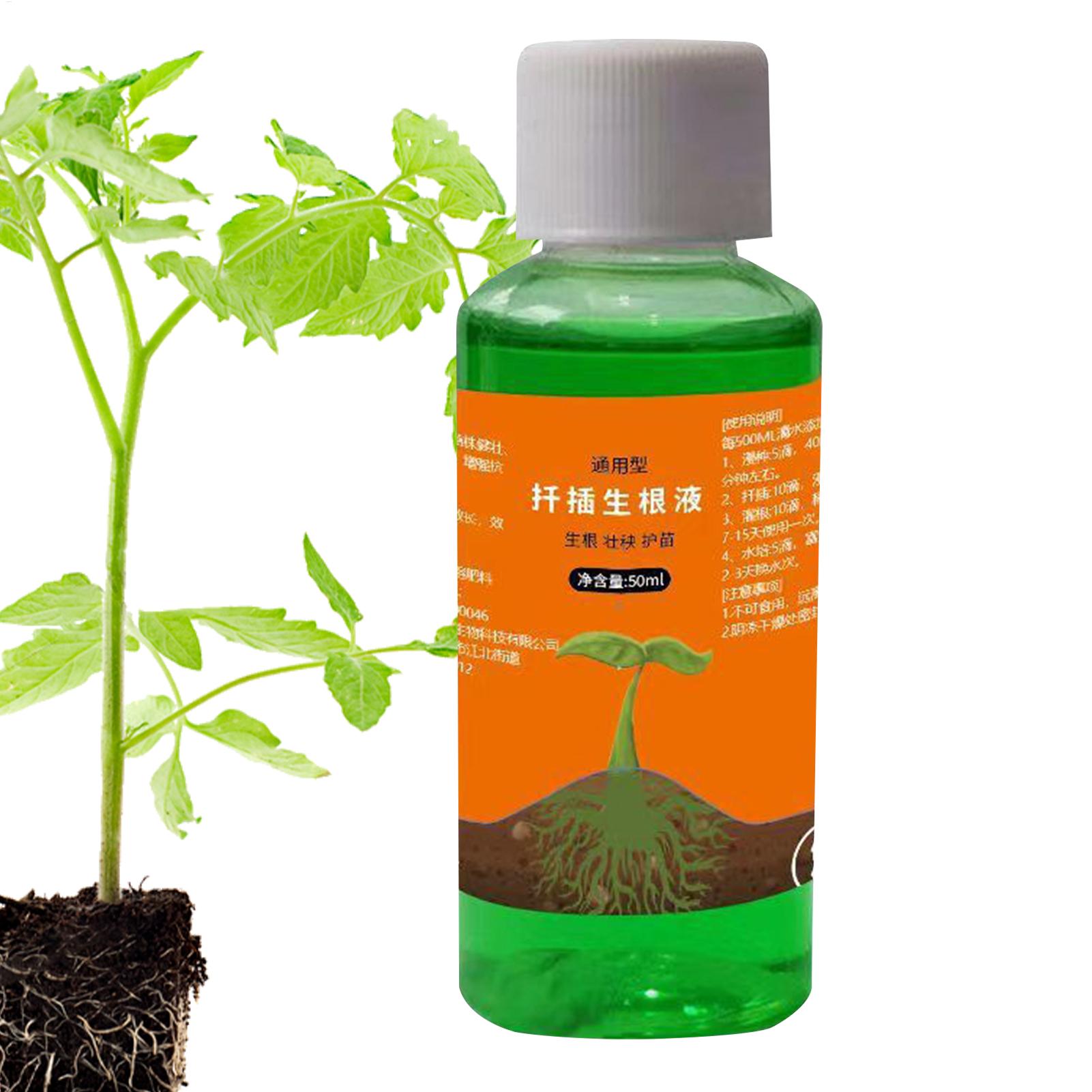 50ml Roztwór odżywczy do przes – Root Stimulator Liquid recenzja i cena