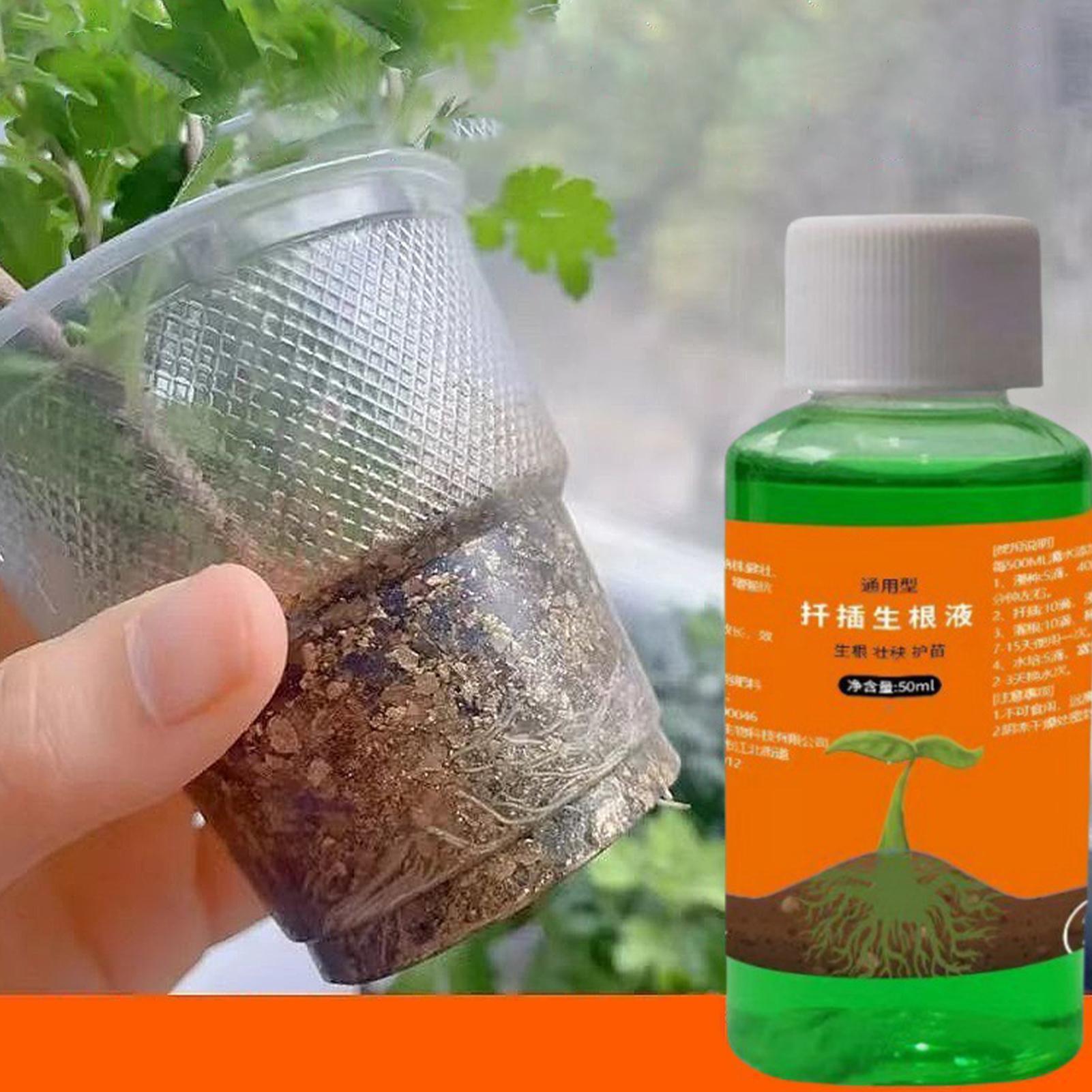 50ml Roztwór odżywczy do przes – Root Stimulator Liquid recenzja i cena