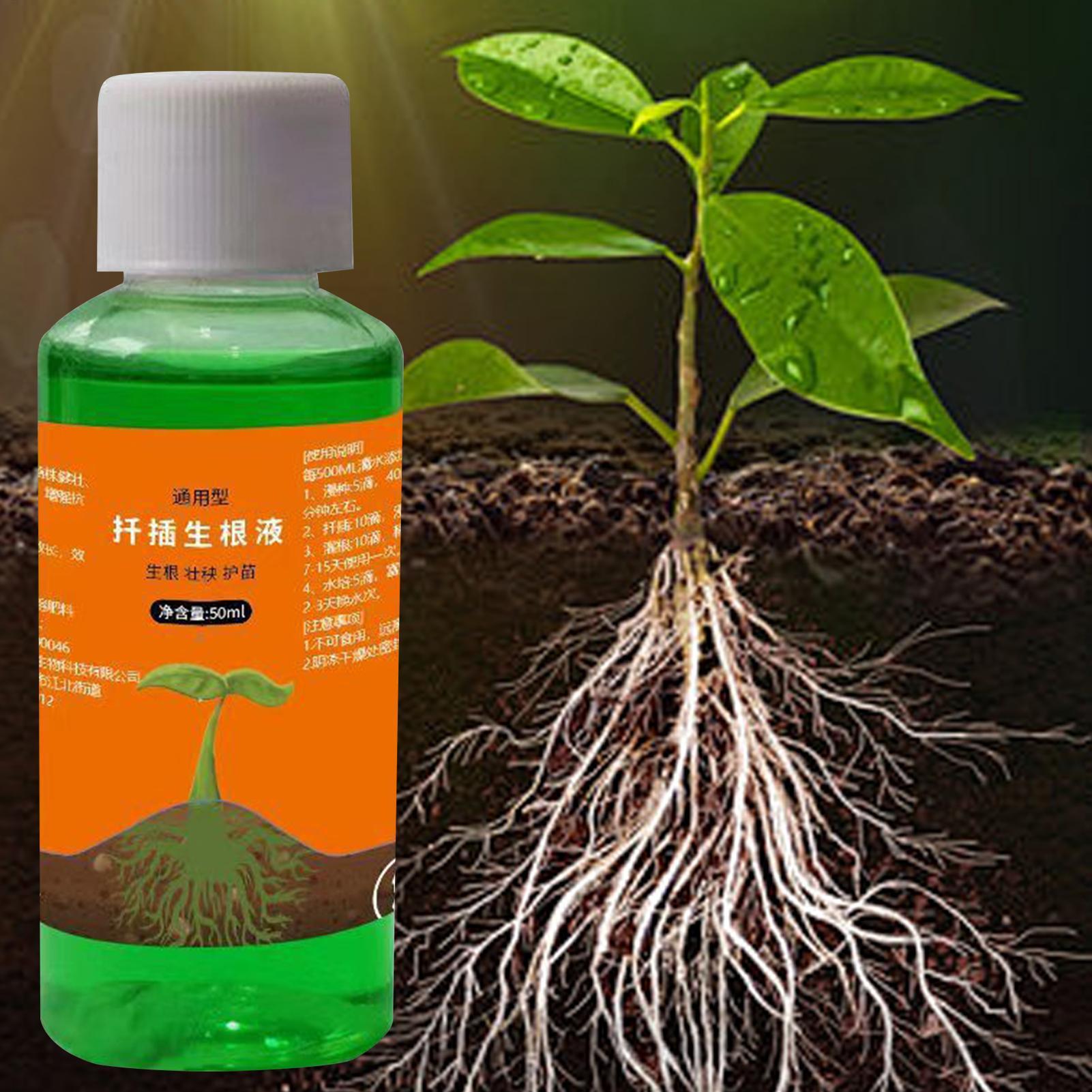 50ml Roztwór odżywczy do przes – Root Stimulator Liquid recenzja i cena