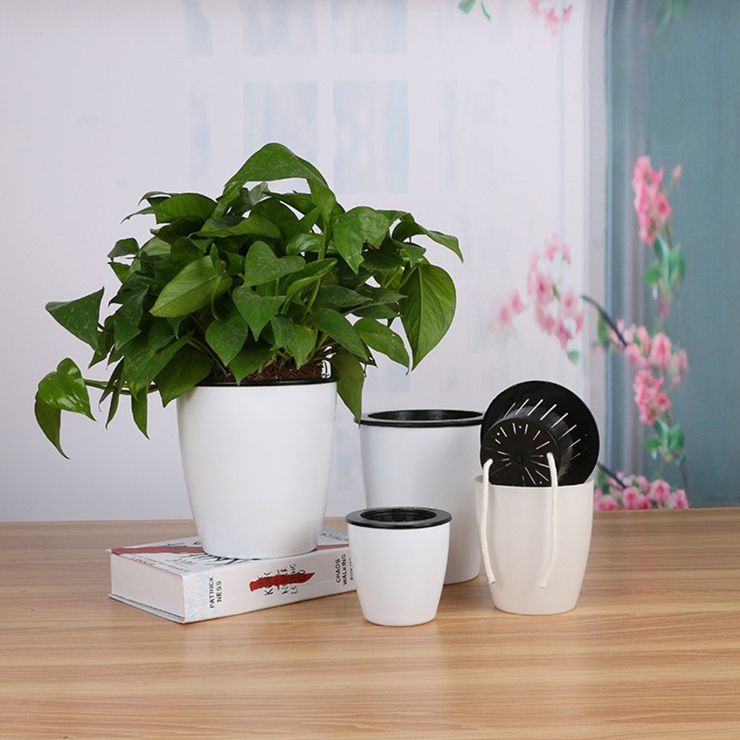 Automatyczne nawadnianie kwiat – Self Watering Insert recenzja i cena