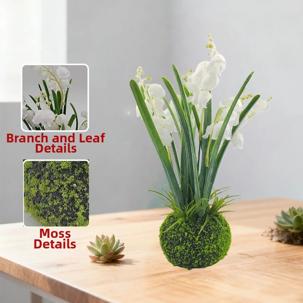 Kompaktowy, ręcznie robiony dz – Sphagnum Moss Dry recenzja i cena