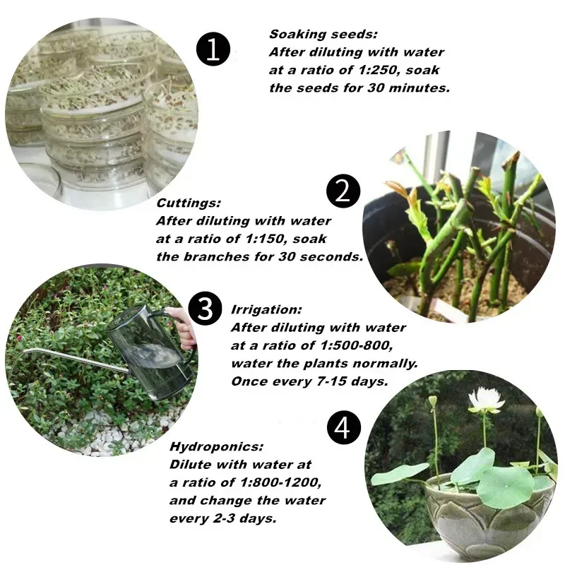 10g Szybko ukorzenianie proszk – Rooting Hormone Powder recenzja i cena