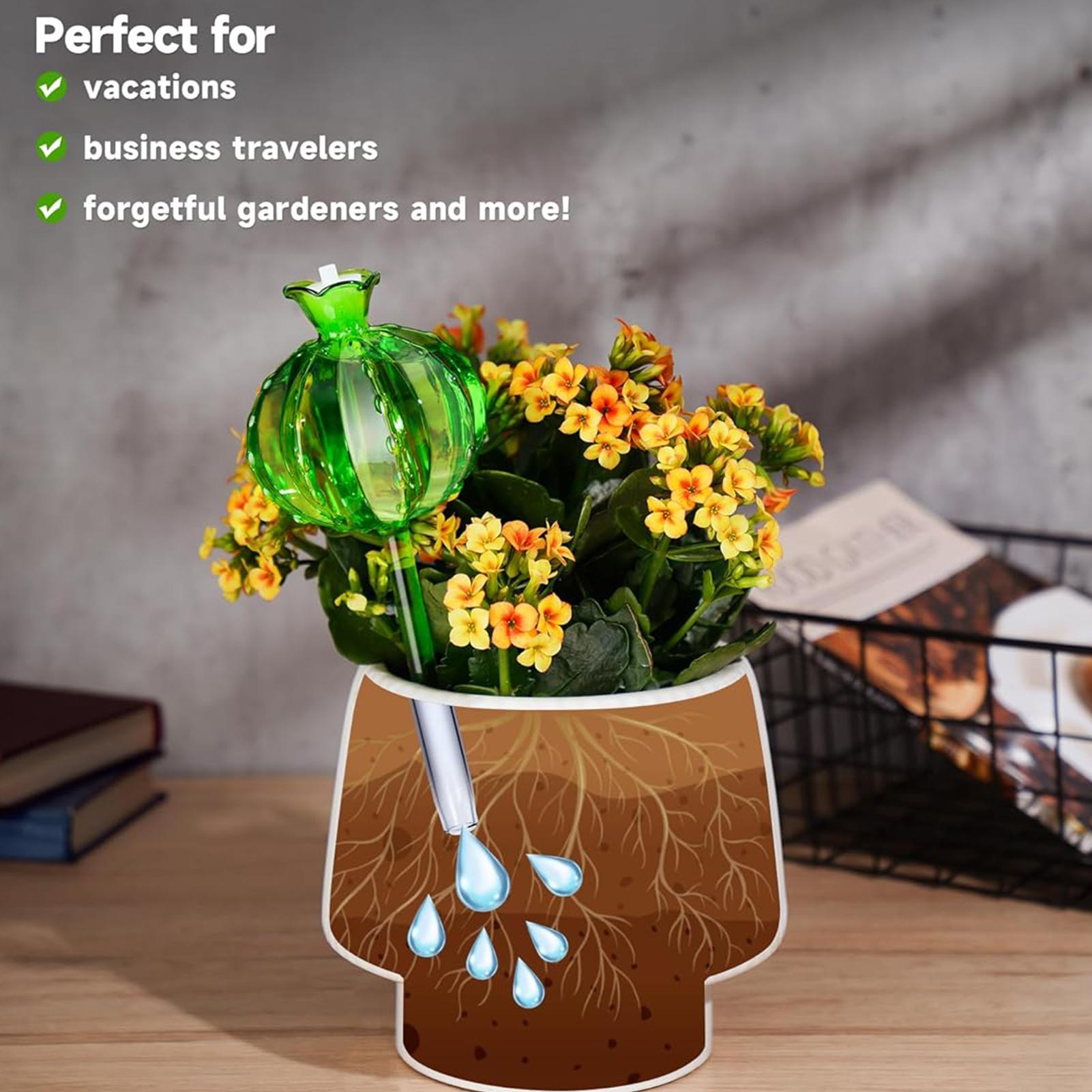 Kolce do podlewania roślin 3 s – Self Watering Insert recenzja i cena