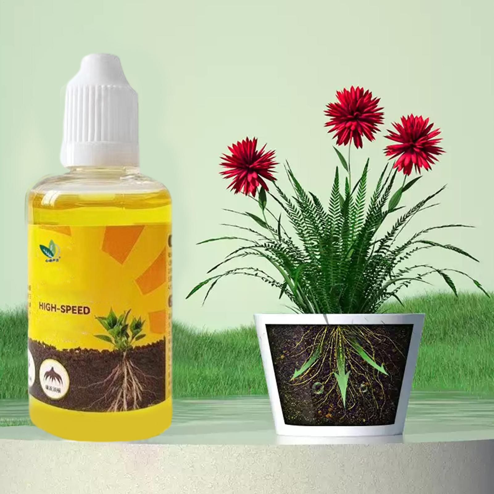 Szybki roztwór do ukorzeniań r – Root Stimulator Liquid recenzja i cena