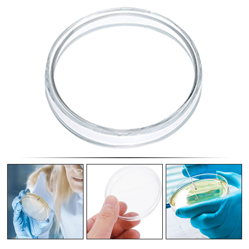 10 szt. Plastikowe szalki Petr – Agar Tissue Culture recenzja i cena