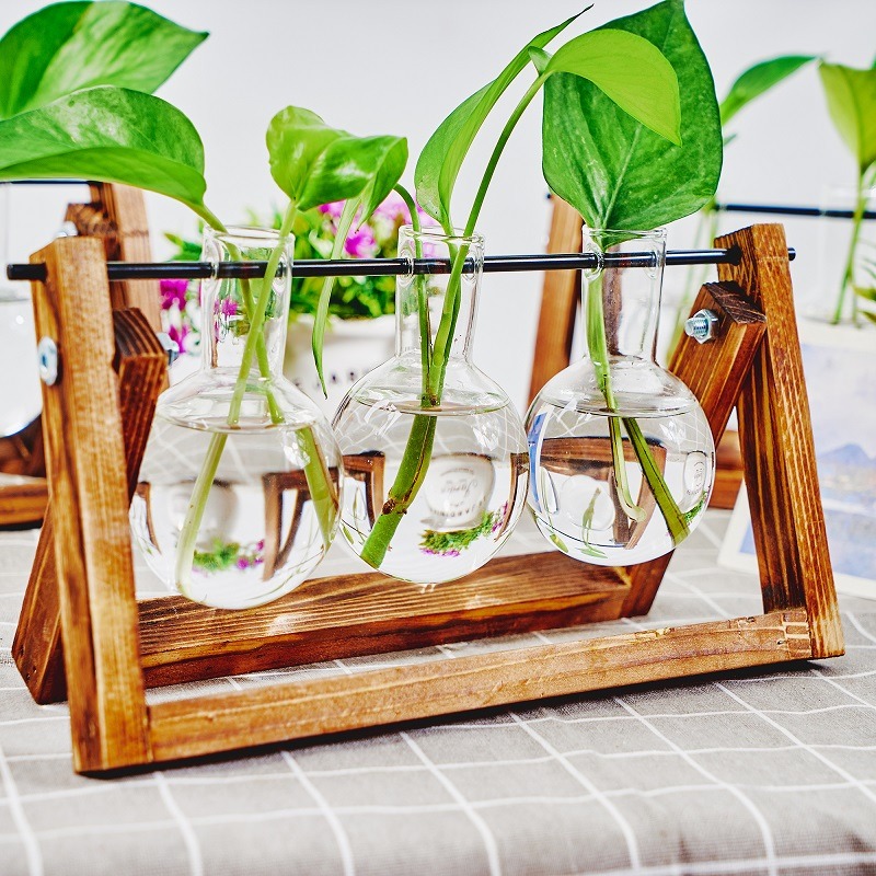 Blat szklana stacja do rozmnaż – Propagation Station Vase recenzja i cena